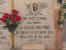 Gulielmo pino.JPG (70422 bytes)