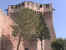 MontDavio4.JPG (97522 bytes)