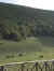 catria mountain field.JPG (72876 bytes)