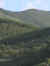 patricia home2.JPG (63389 bytes)