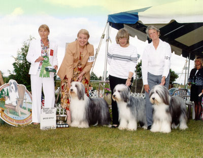 Maxine winning "Best Brood Bitch" at the 2004 BCCC National Specialty