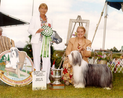 Maxine winning BOS at a BCCC National Specialty