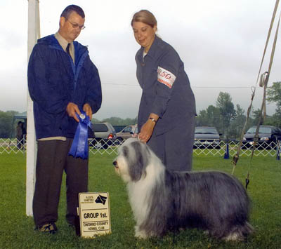 Maxine was a winner at All-breed shows as well as Specialties
