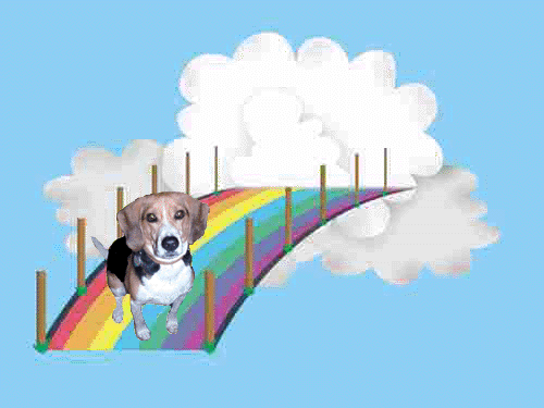 Rainbow Bridge